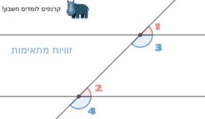 זוויות מתאימות