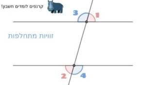 זוויות מתחלפות
