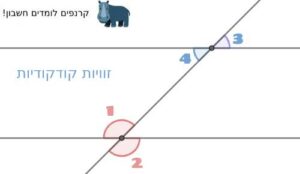 זוויות קודקודיות