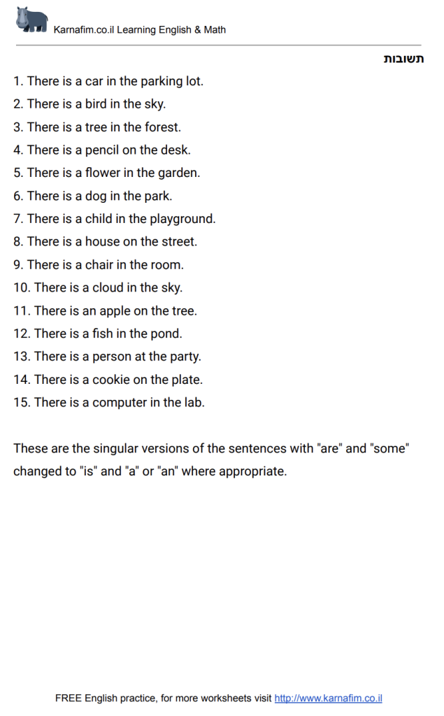 כתיבת משפטים בצורת יחיד-01-תשובות